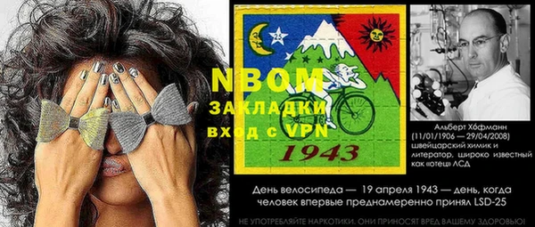стафф Алзамай