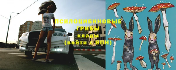кокс Алексеевка