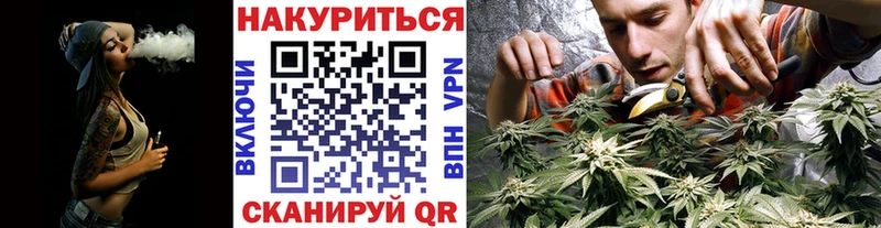 кракен сайт  Пущино  Каннабис планчик 
